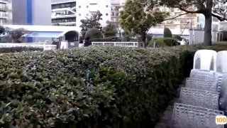 【中文字幕】 美女前台竟是淫兽，将帅小伙榨成“人干”